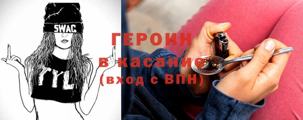 гашик Алексин