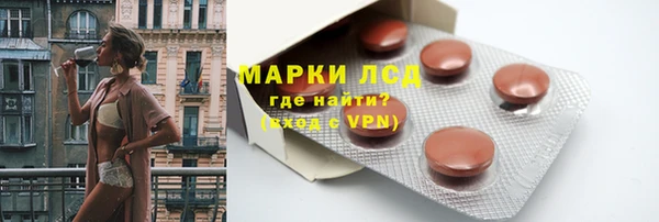 гашик Алексин