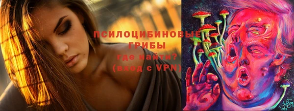 каннабис Алексеевка