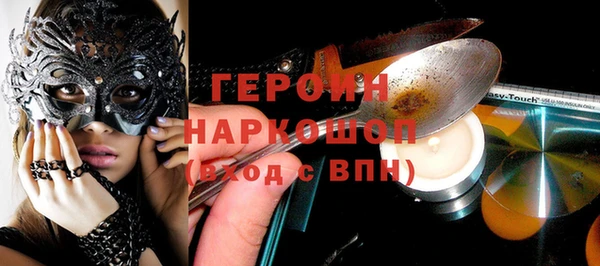 гашик Алексин