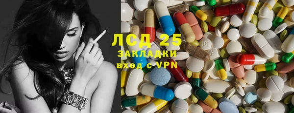 гашик Алексин